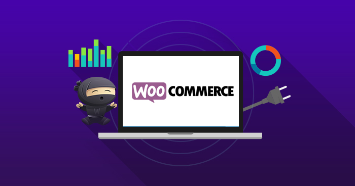 Beginners Guide to SEO with WooCommerce (eCommerce)